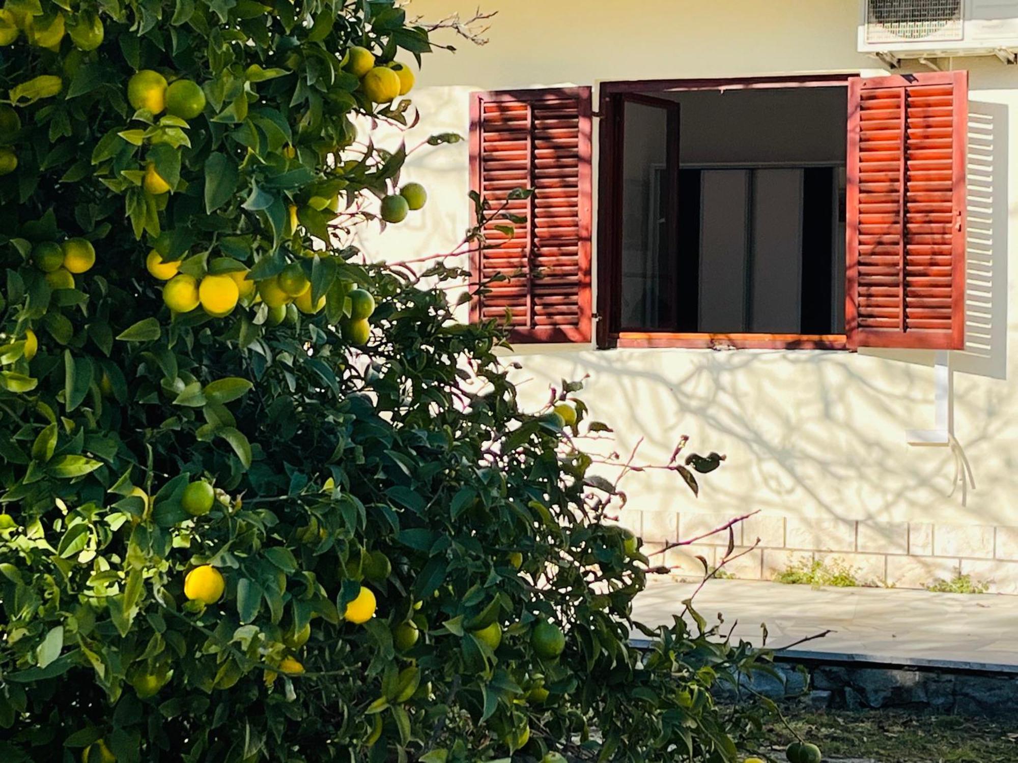 Beachfront Apartment Drazen, With Garden And Parking Split Ngoại thất bức ảnh